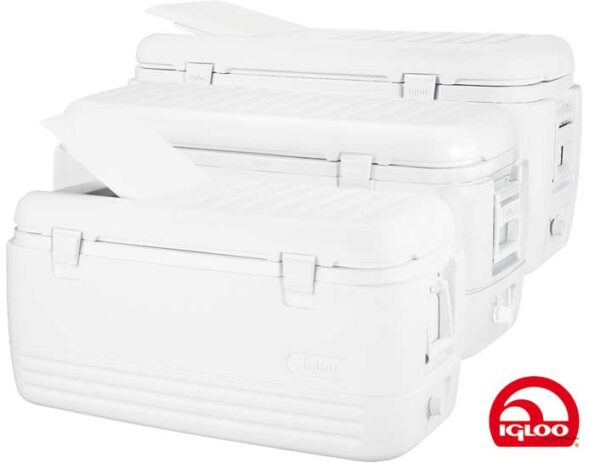 Draagbare koelkast Igloo 48Qt 650 x 370 mm - Afbeelding 5