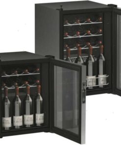 Vitrifrigo DCW46 12 Flessen 12/24/220V