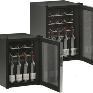 Vitrifrigo DCW46 12 Flessen 12/24/220V