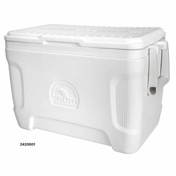 Draagbare Koelkast Igloo 25Qt