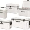 Draagbare Koelkast Igloo 100Qt