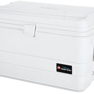 Draagbare koelkast Igloo 54Qt