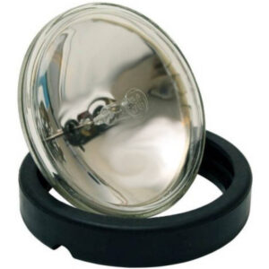 Reserve Gloeilamp 12v voor zaklamp Guest