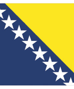 Polyester Vlag van Bosnië 20 X 30cm