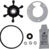 Reparatieset voor Macerator Pomp Johnson TA3P10-19