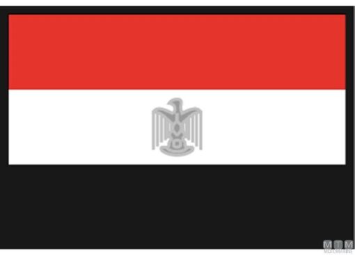 Polyester Vlag Egypte 30 x 45cm