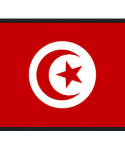 Vlag van Tunesië cm 20 x 30 