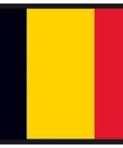 Vlag van België cm 20 x 30 