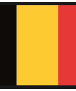 Vlag van België cm 30 x 45 