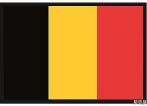Vlag van België cm 40 x 60 