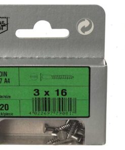 Blister 2pcs Rvs Schroeven 6 x 70 Din 97