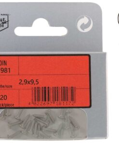 Pak cilinderkop Tapping Schroeven Phillips A4 DIN 7981 2,9x9,5mm 20st