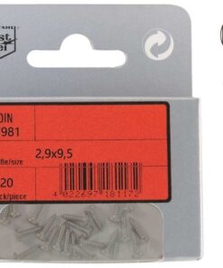 Pak cilinderkop Tapping Schroeven Phillips A4 DIN 7981 2,9x19mm 20st