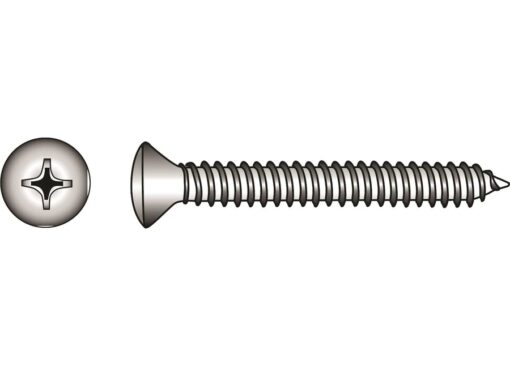 Pak Ovale Kop Tapping Schroeven Phillips A4 DIN 7983 2,9x9,5mm 20st - Afbeelding 3